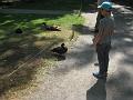 Zoo Cottbus 063